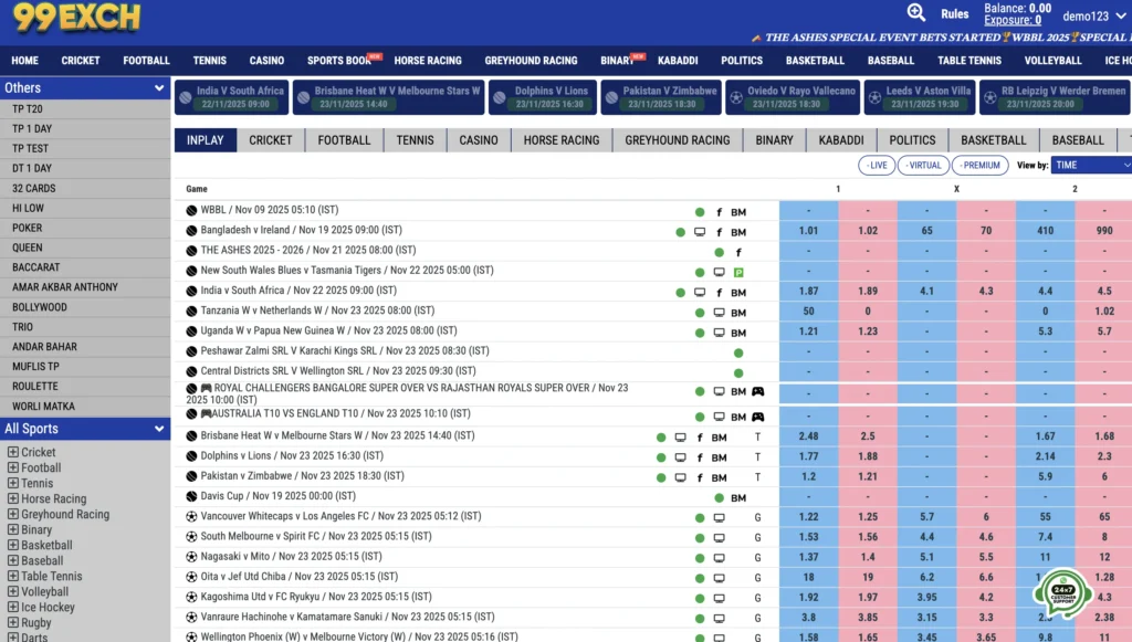 After a successful 99exch login, verify you're accessing your account 99exch platform